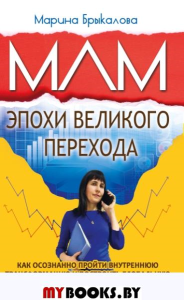 МЛМ эпохи великого перехода.. Брыкалова Марина