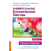 Универсальные космические законы. Книга 12. Домашева-Самойленко Н., Самойленко В.