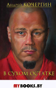 В сухом остатке. Кочергин А.