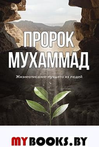 Пророк Мухаммад. Жизнеописание лучшего из людей (Мечеть). Аляутдинов И.