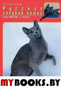 Русская голубая кошка. Содержание и уход
