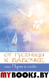 От гусеницы к бабочке, или путь к себе. Введение в практическое самоисследование. Пинт А.А.