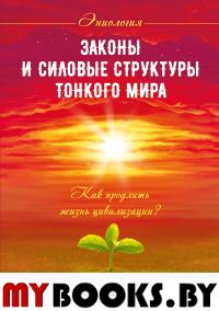 Законы и силовые структуры Тонкого мира. Как продлить жизнь цивилизации?