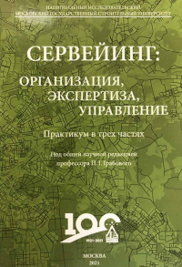 Сервейинг: организация, экспертиза, управление. Практикум. . Грабовый П.Г..