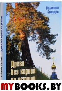 Старцев В. Древо без корней не устоит. (Православное краеведение). Старцев В.