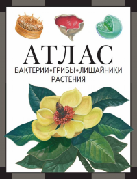 Бактерии, грибы, лишайники, растения : атлас. Черепанов И. В.