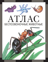 Беспозвоночные животные: атлас (3 изд., стереот.). Дольник В., Козлов М.