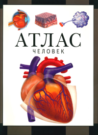 Человек: атлас (4 изд.). Барабанов С. В.