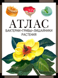 Бактерии, грибы, лишайники, растения: атлас. Черепанов И. В. Изд.4, стереотипное