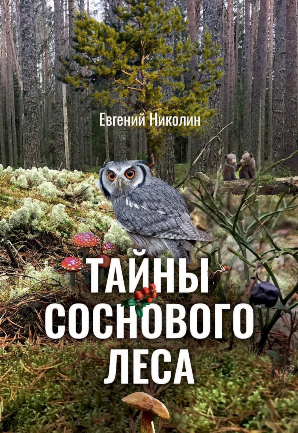 Тайны соснового леса. Николин Е.Г