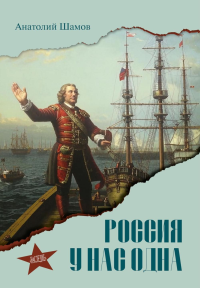 Россия у нас одна. Шамов А.