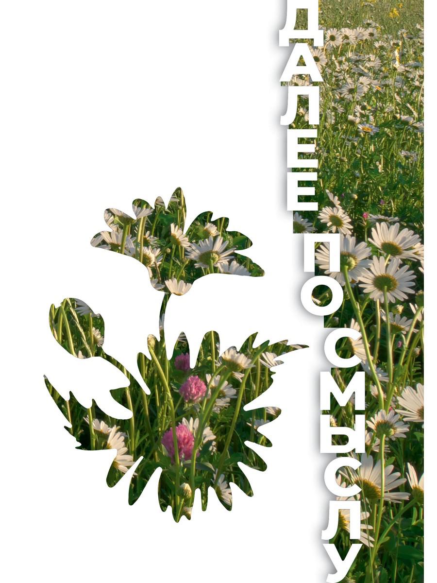 Далее по смыслу. Новикова Ю.