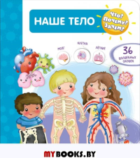 Наше тело (с волшебными окошками). Барсотти И.