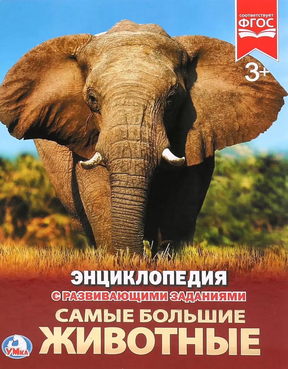 Самые большие животны. Ермакова О.И.