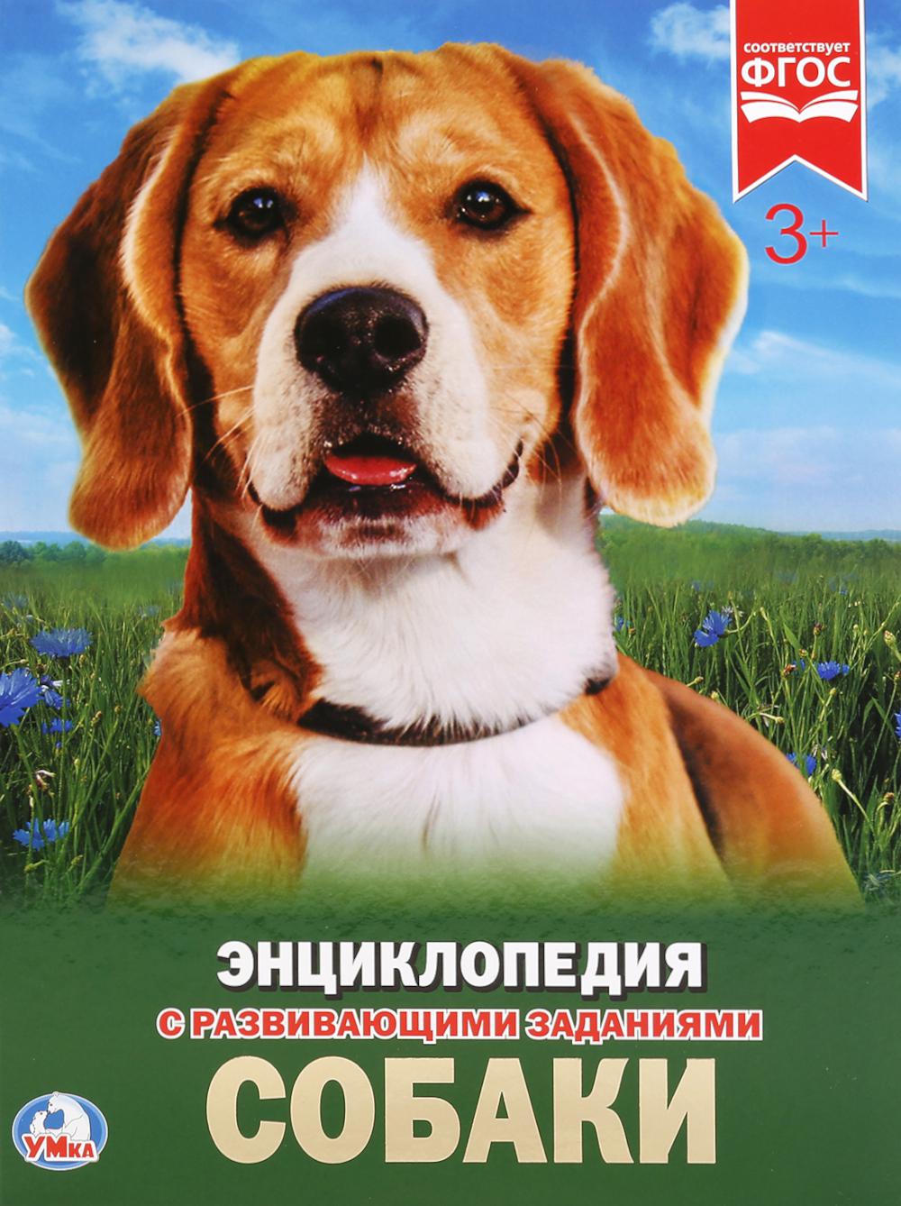 Собаки. Ермакова О.И.