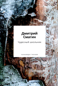Чудесный школьник: сборник стихотворений. Смагин Д.Г.