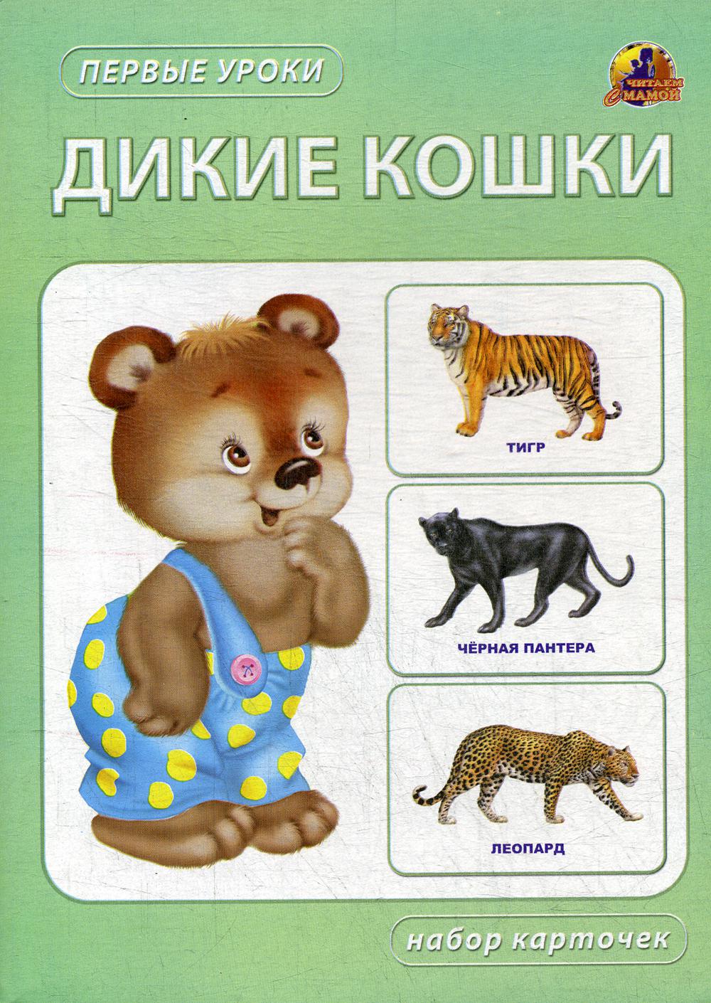 Дикие кошки. Набор карточек.