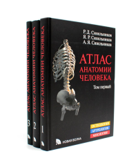 Атлас анатомии человека: В 3 т. Комплект. Синельников Р.Д., Синельников Я.Р., Синельников А.Я.