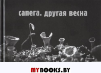 Другая весна. Сапего М.