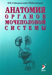 Гайворонский И.В., Ничипорук Г.И.. Анатомия органов мочеполовой системы: Учебное пособие. 13-е изд., перераб. и доп