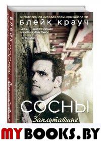 Сосны. Заплутавшие