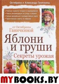 Яблони и груши. Секреты урожая от Октябрины Ганичкиной