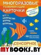 2+ Сенсорное развитие для детей от 2 до 3 лет (+ многоразовые карточки). Бунина Н.В.