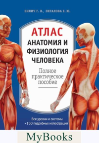 Атлас. Анатомия и физиология человека. Билич Г.Л., Зигалова Е.Ю.