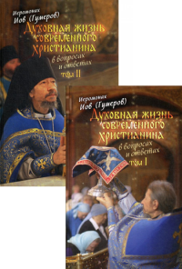 Иов (Гумеров), архимандрит. Духовная жизнь современного христианина в вопросах и ответах. В 2 т