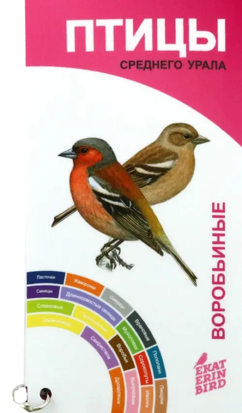 Птицы Среднего Урала.Воробьиные и неворобьиные:веер-определитель. Рябицев В.