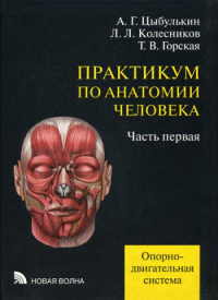 Практикум по анатомии человека. В 4 ч. Ч. 1. Опорно-двигательная система