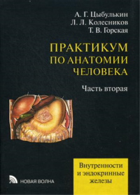 Практикум по анатомии человека: В 4 ч. Ч. 2. Внутренности и эндокринные железы