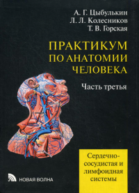 Практикум по анатомии человека: В 4 ч. Ч. 3. Сердечно-сосудистая и лимфоидная системы