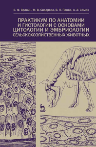 Практикум по анатомии и гистологии с основами цитологии и эмбриологии сельскохозяйственных животных. Учебное пособие для вузов, 4-е изд., стер.