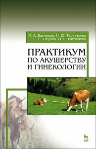 Практикум по акушерству и гинекологии. Учебное пособие для вузов, 4-е изд., стер.