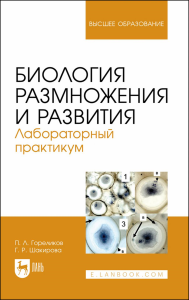 Биология размножения и развития. Лабораторный практикум. Учебно-методическое пособие для вузов (полноцветная печать)