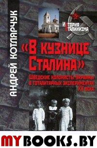 "В кузнице Сталина":шведские колонисты Украины в тоталитарных экспериментах ХХ века