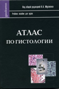 Атлас по гистологии. Мусиенко Н.А.