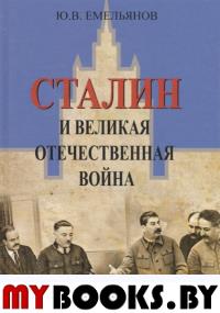 Емельянов Ю.В., Сталин и Великая отечественная война, 978-5-8291-2248-5, Академический Проект