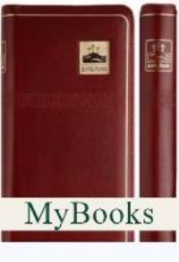 Библия (1259)(канон)047YZTI.бордо.кож.на молнии.