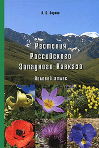 Растения Российского Западного Кавказа: Полевой атлас. Зернов А.С.