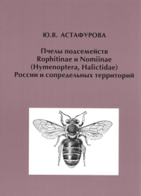 Пчелы подсемейств Rophitinae и Nomiinae (Hymenoptera, Halictidae) России и сопредельных территорий. Астафурова Ю.В.