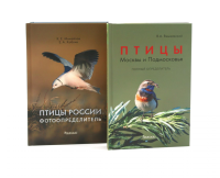 Птицы Москвы и Подмосковья; Птицы России: Фотоопределитель (комплект из 2-х книг). Вишневский В.А., Михайлов К.Е., Коблик Е.А.