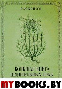 Большая книга целительных трав. Магия ароматов