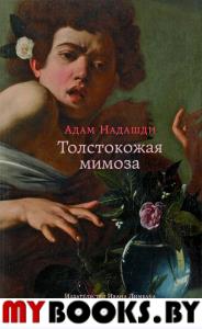 Надашди Адам. Толстокожая мимоза: Быть счастливым - или нормальным? Надашди Адам