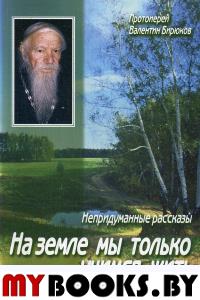На земле мы только учимся жить: непридуманные рассказы. Валентин (Бирюков), протоиерей