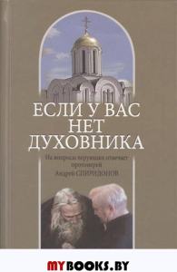 Если у вас нет духовника. На вопросы верующих отвечает протоиерей Андрей Спиридонов. 3-е изд.