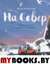На Север.Путешествие вслед за чайкой. Игнатова А.