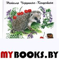 Самый маленький ежик. Чарушина-Капуст