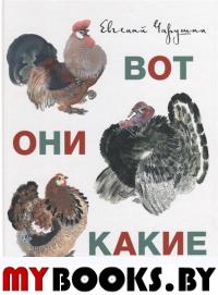 Вот они какие. Чарушин Е.